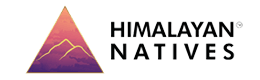 Himalayan Natives